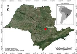 localizacao do municipio de piracicaba sp organizacao nascimento download scientific diagram