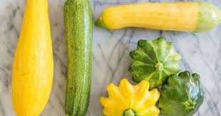 A Visual Guide To 8 Varieties Of Summer Squash Squash Varieties Summer Squash Recipes Yellow Squash Recipes