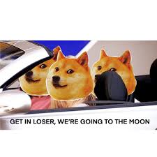 These stickers are printed on durable, high opacity adhesive vinyl which makes them perfect for regular. Dogecoin To The Moon Meme Album On Imgur