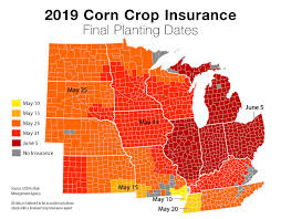 But heavily subsidizing crops and controlling food prices in order to protect domestic agriculture domestic crop subsidies within developed countries has faced universal criticism from economists. Planting Delayed Here Are Your Prevent Plant Options