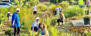 Image result for Green 1990 Norfolk VA City of