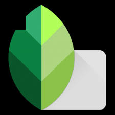 Download fitpro for android now from softonic: Snapseed Mod Apk Data Vlatest Pro Premium Unlocked Apkrogue