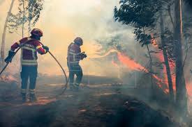 Um incêndio deflagrou pouco antes das 17h30, numa zona de mato. Cerca De 600 Bombeiros Combatem Incendio No Algarve Portugal Edicao Portugal Agencia Efe
