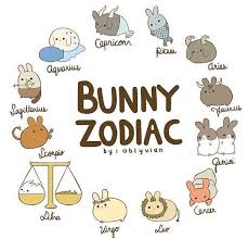 Pin By Andre Gragefe On Stuff I Like Zodiac Funny Zodiac Star Signs Zodiac Signs