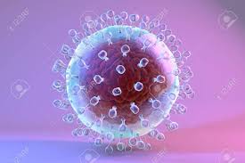 Viruses are microscopic particles that exist almost everywhere on earth. Modele De Virus De L Hepatite C Illustration 3d Un Virus Se Compose D Une Capside Enveloppe Proteique Arn Et Enveloppe De Lipoproteines Externe Avec Des Pointes De Glycoproteines Entourant Banque D Images Et Photos