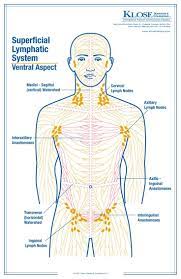 Lymphatic Massage Techniques For Health And Beauty Lymphatic Massage Lymphatic Drainage Massage Lymph Massage
