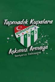 Bursa büyükşehir belediye stadyumu, bursa. Bursaspor Wallpaper Download To Your Mobile From Phoneky