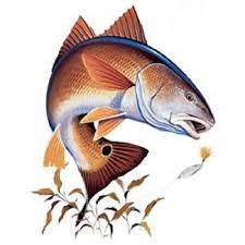 Redfish T Shirt Fish Fishing Shirt Quilt Fabric Block Etsy In 2021 Redfish Art Red Fish Salt Water Fishing
