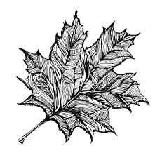 Leaves Inside Of A Leaf Looking Closely It Looks Like There Are Many Different Leaves Within The Big Leaf Leaf Drawing Leaf Art Ink Illustrations