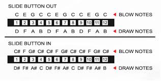 should i get a 12 hole or 16 hole chromatic music