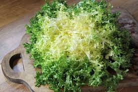 Curly Endive How To Grow Care Curly Endive Endive Growing Lettuce