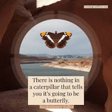 157 Butterfly Quotes Sayings And Instagram Captions To Enchant You