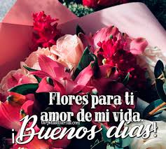 Amor de mi vida, sé que hoy es un día muy importante para ti y por ello te envío este pequeño mensaje. Flores Para Ti Amor De Mi Vida Buenos Dias Tarjetasdiarias Com
