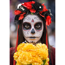 Flower Crown Rbenxia Mexican Rose