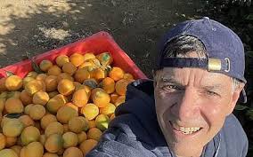 The Blogs: Why I Volunteered in Israel, and What I Learned