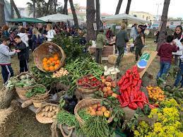 ✓ free for commercial use ✓ high quality images. Local Farmers Markets In Sicily Euki