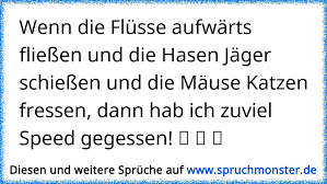 Wenn Die Flusse Aufwarts Fliessen Und Die Hasen Jager Schiessen Und Die Mause Katzen Fressen Dann Hab Ich Zuviel Sp Spruchmonster De