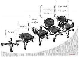 Worldwide Organizational Chart Bzu Multan