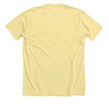 Ryan Creamer Wholesome Porn Shirts | Bonfire