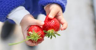 E' bene per i piccoli di casa eliminare del tutto dalla loro alimentazione le proteine animali, preferendo più frutta e verdura? Dieta Vegetariana E Bambini Ok Purche Sia Equilibrata Uppa It