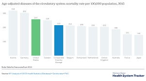 How Do Mortality Rates In The U S Compare To Other