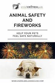 Animal Safety During Halloween Fireworks Night And New Years Animal Wellness Guide Pet Safety Pet Health Fireworks