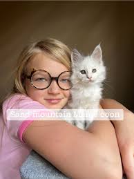 Many of you know me personally; and you know my sweet daughter. She is the  one (one of the ones anyway) responsible for "addifying" your kittens  before they come home. Isn't she