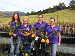 Buy fruit trees and berry bushes online with delivery right to your door. Fruit Salad Tree Company Goes To Agquip Gunnedah 2017 Good Fruit Vegetables Australia
