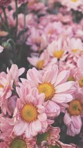 17 Ideas Wall Paper Iphone Vintage Flowers Tumblr Pink Roses Phone Wallpaper Pink Flower Phone Wallpaper Tumblr Flower