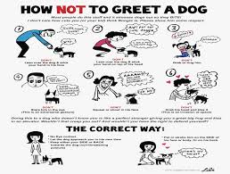 Dog Obedience Hand Signals How To Train Your Dog Not To