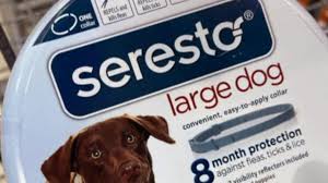 Seresto flea collars are the most reliable flea product ive found for cats and dogs. Seresto Flea Collars May Be Linked To Nearly 1 700 Pet Deaths Cbs News