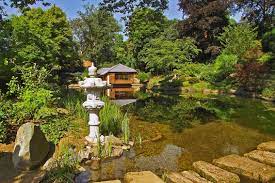 Der garten wirkt beeindruckend und gewachsen. Japanischer Garten Stadt Kaiserslautern