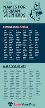 Black And White Female Dog Names German Shepherd Dog Names 200 Different Male Female Names In 2020 Dog Names German Shepherd Names Female Dog Names