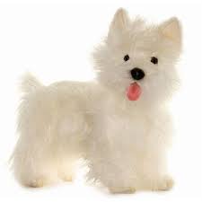 Hansa West Highland Terrier Dog 20 L Westie Dogs West Highland Terrier Highlands Terrier