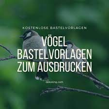 Ausmalbilder vögel werden das kind mit einer vielzahl von vögeln auf unserem planeten bekannt machen. Vogel Bastelvorlagen Zum Ausdrucken Dekoking