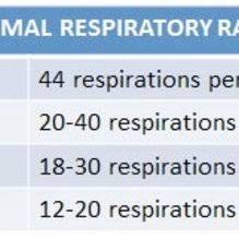 Pdf Inconspicuous On Bed Respiratory Rate Monitoring
