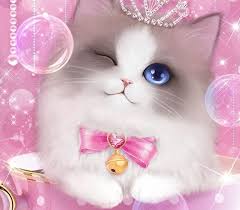 Download wallpaper kucing terbaru gratis koleksi foto kucing yang lucu lucu gambar anak kucing comel sekali. Cat Wallpaper Gambar Kucing Aesthetic Novocom Top