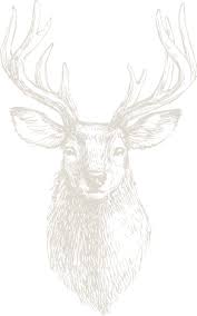 We did not find results for: Victor S Seehotel Weingartner