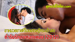 thai xxx | Page 11 of 16 | หนังโป๊ หนังเอ็ก คลิปโป๊ ที่ดูหนังโป๊เด็ด.com |  m.cytohistology.ru