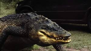 The anaconda is very danger and strong snake, they have been known to kill big animals like the cows and as tough as the crocodiles. Lake Placid Vs Anaconda Unrated Advance Review Wicked Horror
