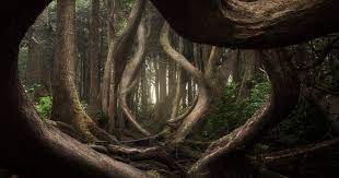 The top 6 award winning images in 2021. 30 Of The Most Memorable Pics From The 2018 International Landscape Photographer Of The Year Contest Bored Panda