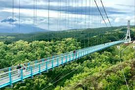 Mishima Water History Mt Fuji Shizuoka Japan Travel