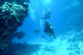 5* rated dive shop | award winning scuba gear. 8 Best Dive Centers In Bali Where To Learn Scuba Diving In Bali Go Guides