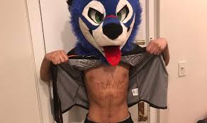 We did not find results for: Furry Gamer Sonicfox Comes Out As Non Binary Says They Will Finally Explore True Identity