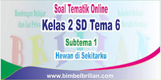 More images for aku membeli 6 telur, lalu 2 telur pecah dan 2 telur ku makan. Soal Tematik Online Kelas 2 Sd Tema 6 Subtema 1 Hewan Di Sekitarku Langsung Ada Nilainya Bimbel Brilian