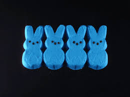 After making your own marshmallow. Marshmallow Peeps Candy Gif By Bronwyn Maloney Find Share On Giphy