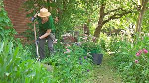 Guck Mal Mein Garten Hannovers Offene Pforten Ndr De Fernsehen Sendungen A Z Die Nordstory