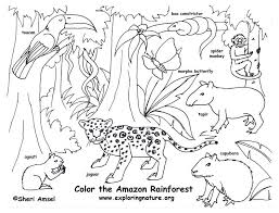Hedgehog in the autumn forest. Printable Coloring Pages Forest Animals