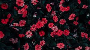 Download and use 30,000+ desktop wallpaper aesthetic stock photos for free. Pinterest Wallpaper Pc 1920x1080