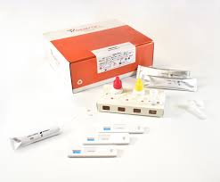 Image result for Streptococcus